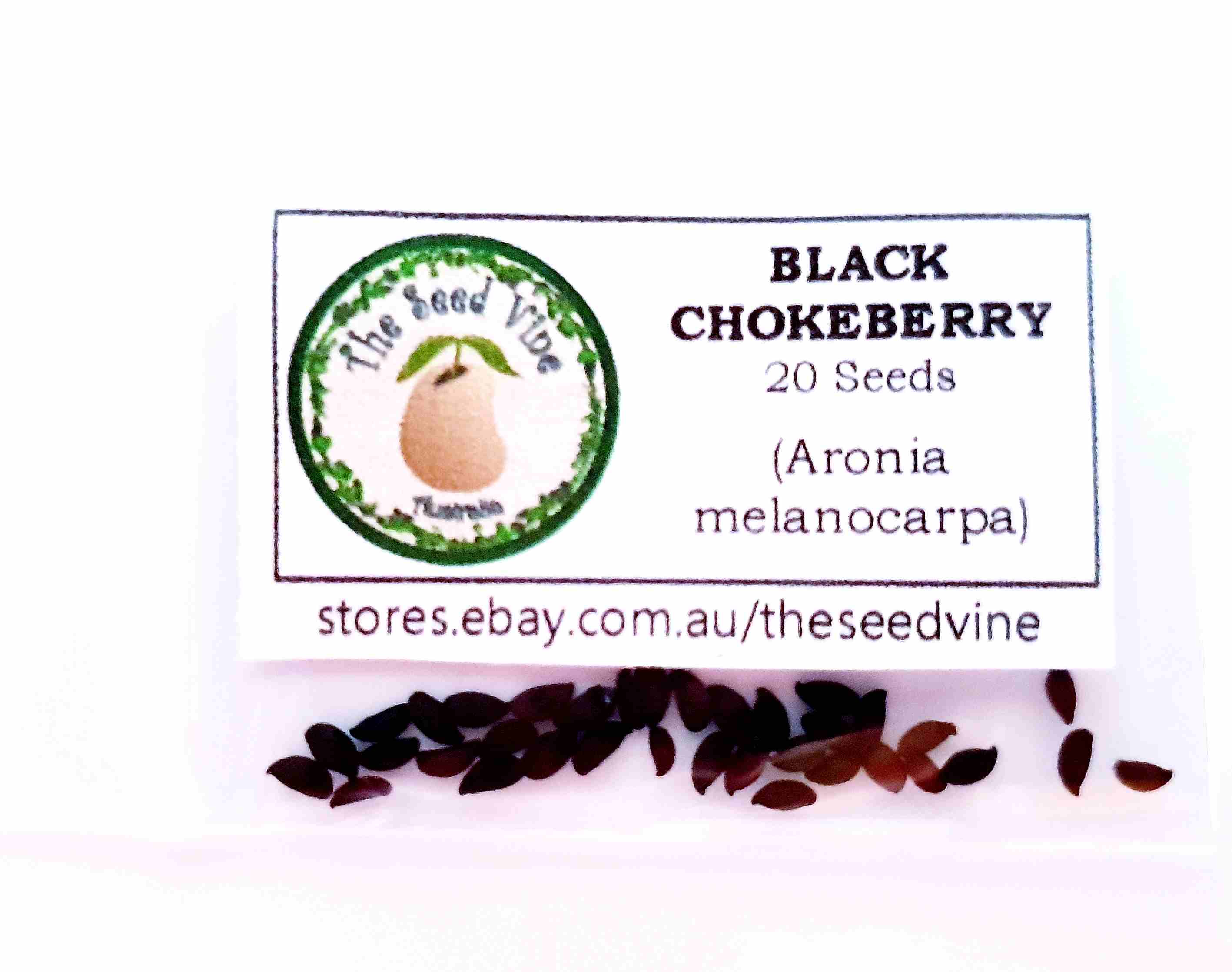aronia-melanocarpa-black-chokeberry-fruit-seeds-20-pack