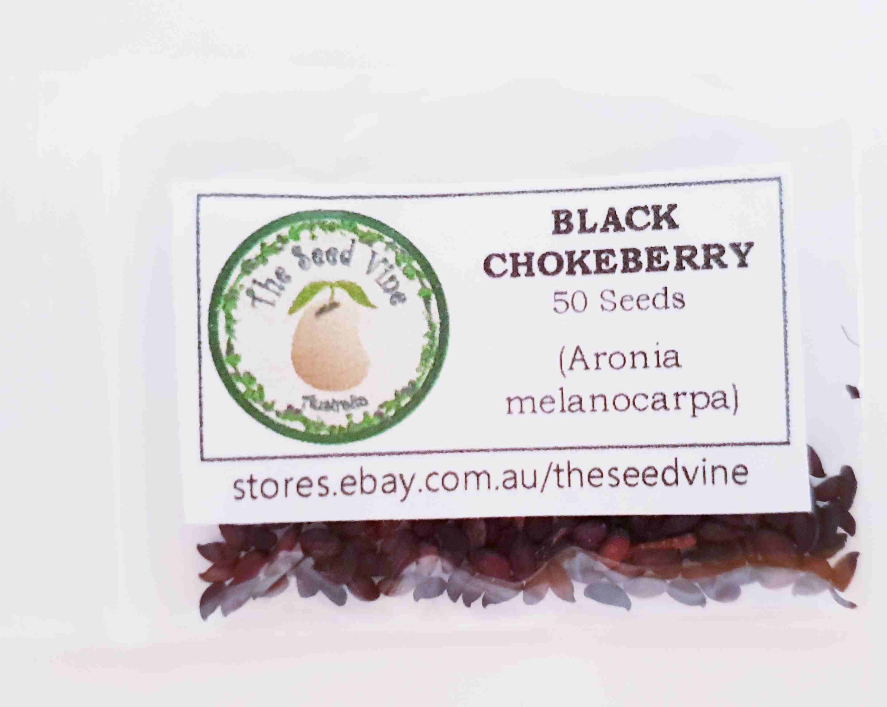 aronia-melanocarpa-black-chokeberry-fruit-seeds-50-pack