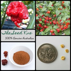 capsicum-chinensis-hp22-carolina-reaper-chilli-seeds - MAIN