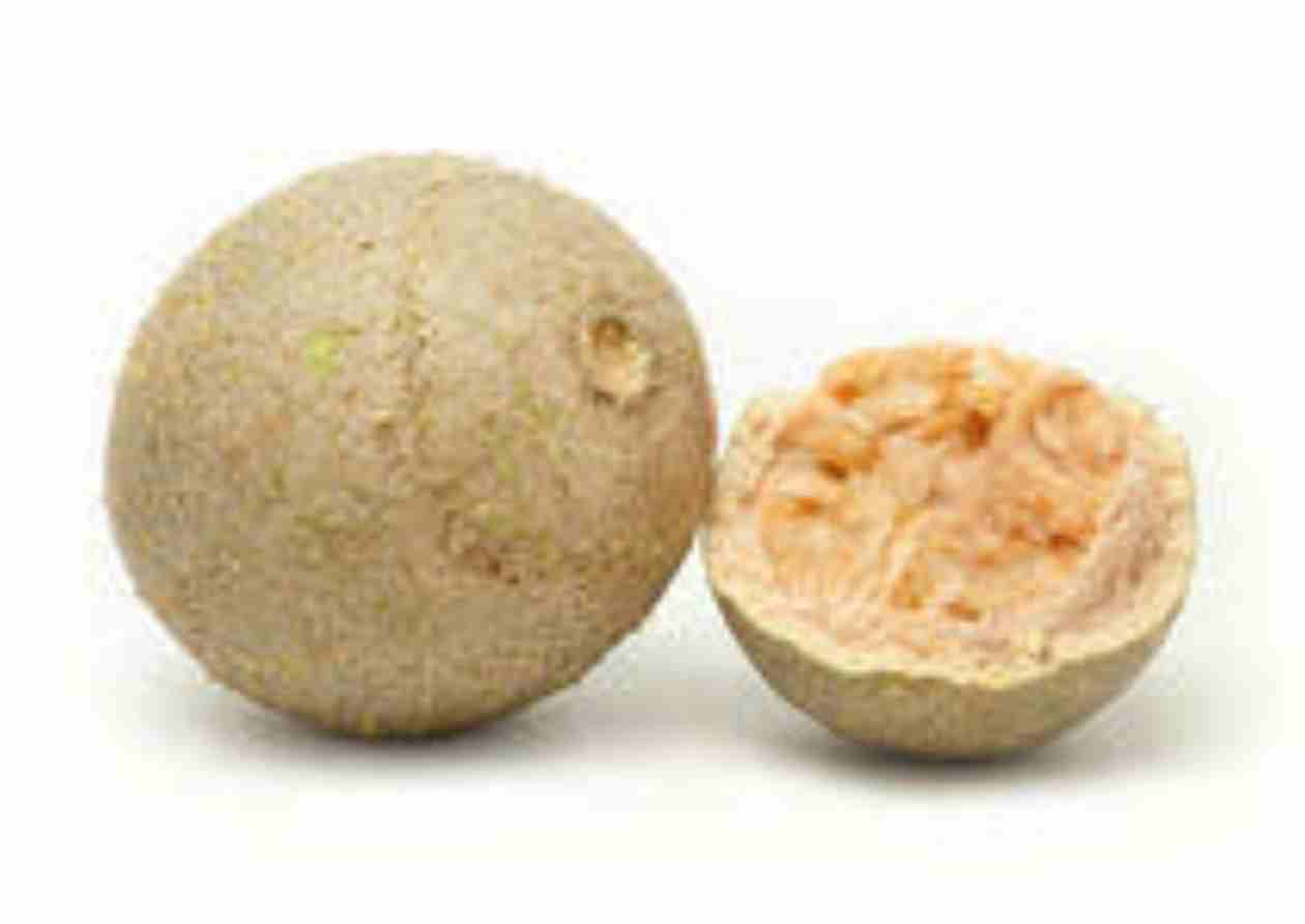 Limonia acidissima - Wood Apple - Image 5