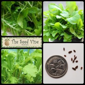 eruca-sativa-rocket-sweet-mixed-main