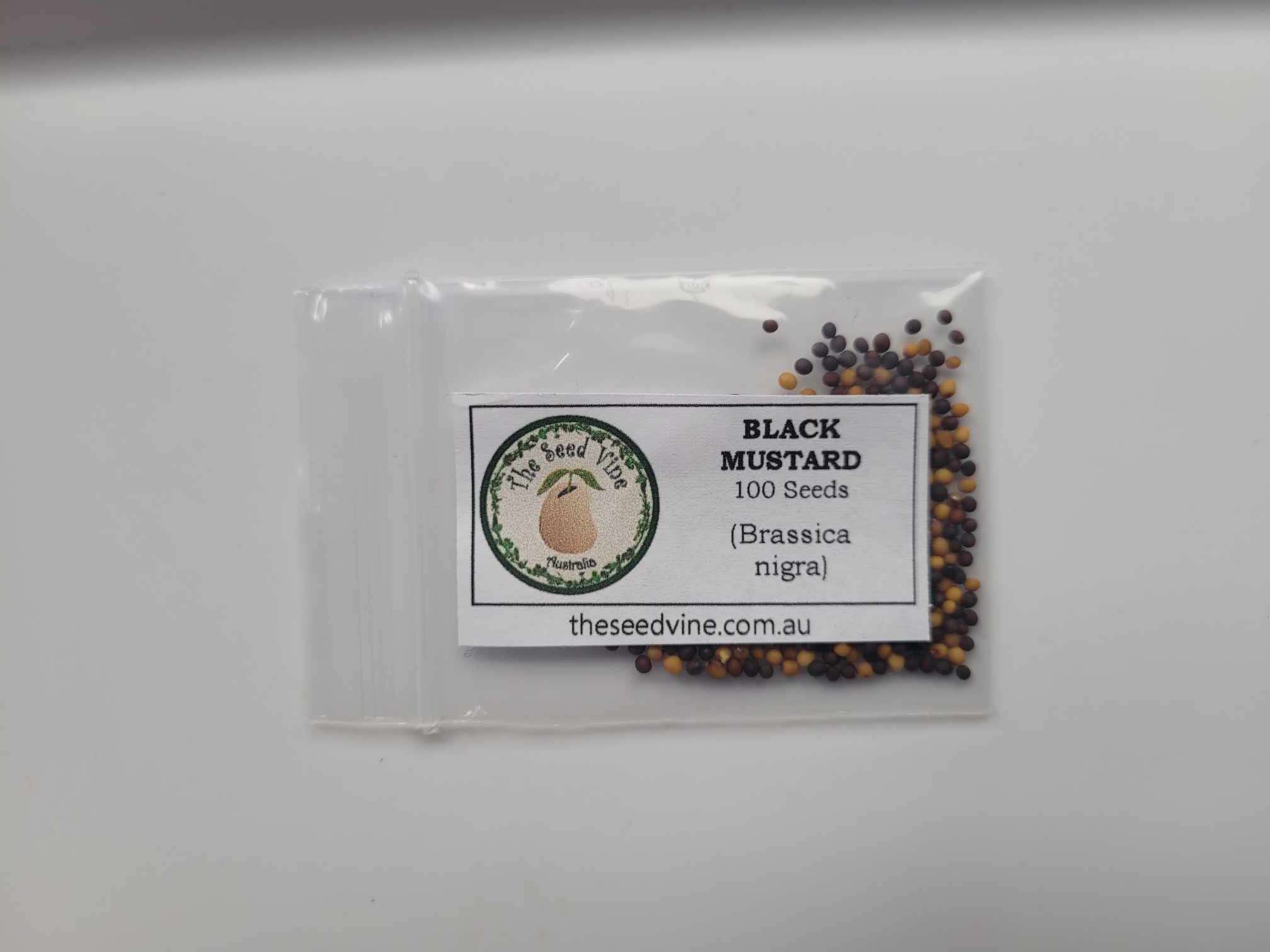 Brassica nigra - Black Mustard - pack