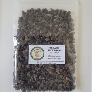 Buckwheat 500 pack