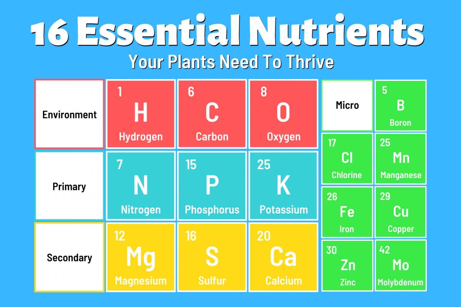 Plant Nutrients: 16 Key Minerals (And How to Add Them Organically ...