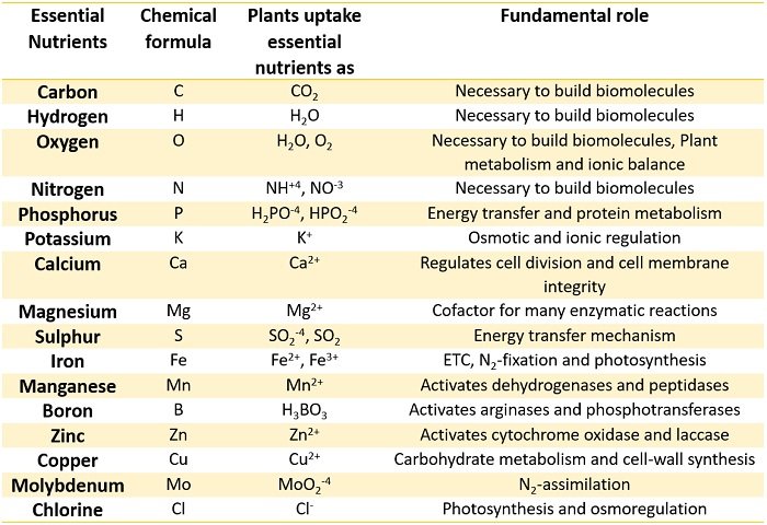 Role of Plant Nutrients