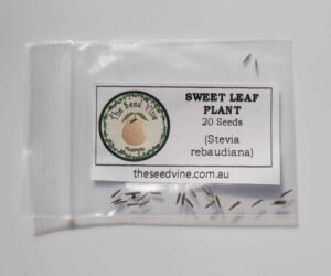 Stevia rebaudiana - Sweet Leaf Plant - 20 PACK