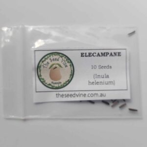 Inula helenium - Elecampane - 10 pack
