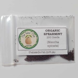 Mentha spicata - Spearmint - 200 pack