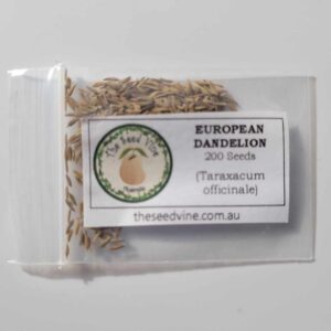 Taraxacum officinale - European Dandelion - 200 pack