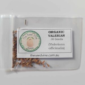 Valeriana officinalis - Valerian - 30 pack