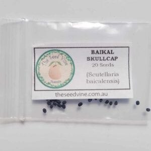 Scutellaria baicalensis - Baikal Skullcap - 20 pack