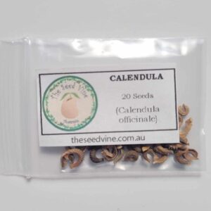 Calendula officinalis - Calendula - 20 pack