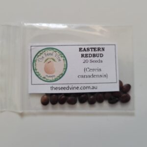 Cercis canadensis 20 pack