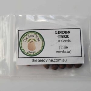 Tilia cordata - 10 pack seeds