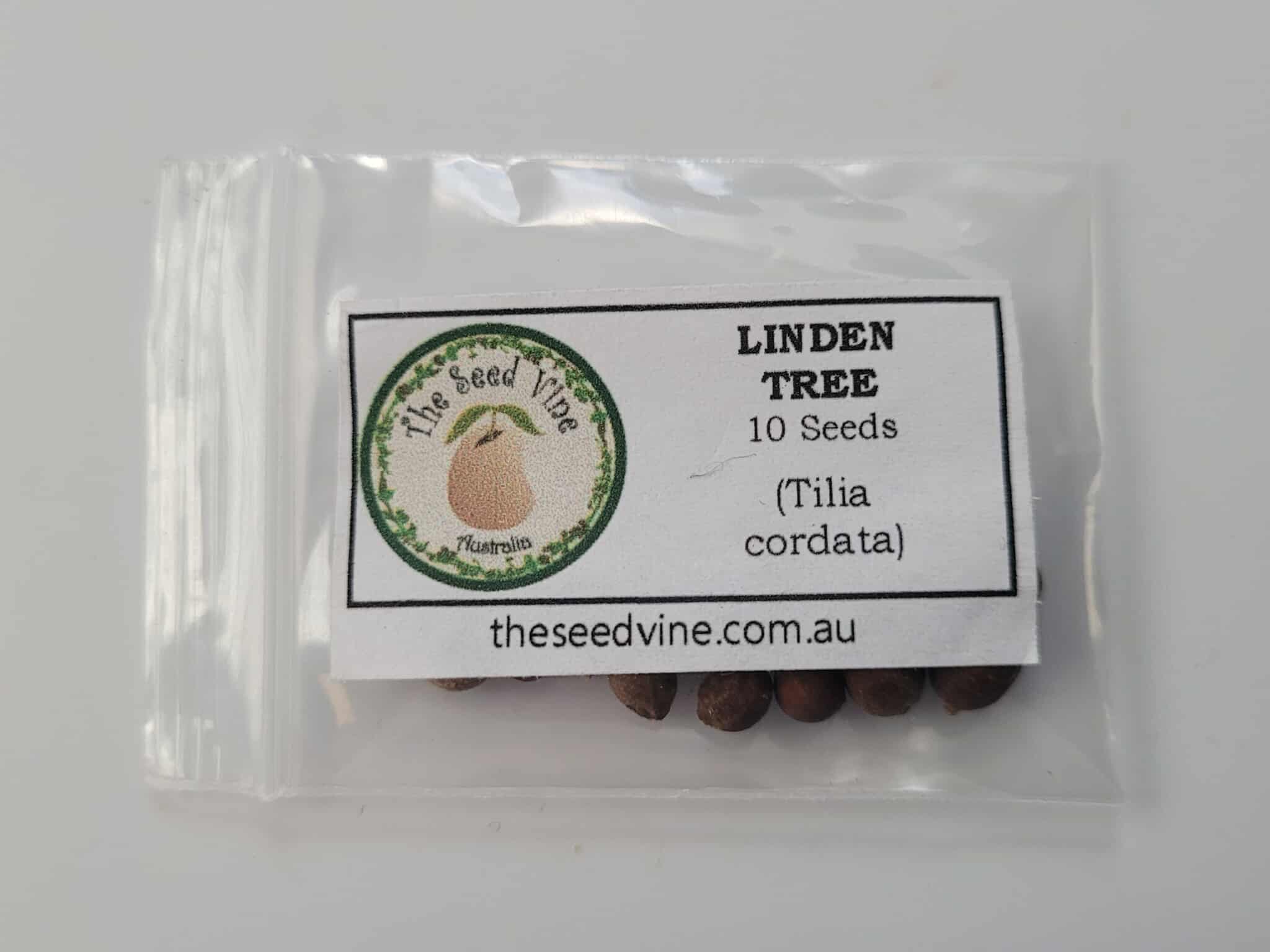 Tilia Amurensis Seeds – Amur Linden Tree – Hardy Ornamental Tree Seeds For Planting