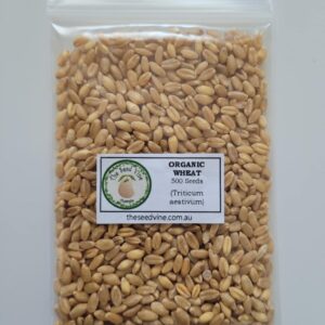 Wheat organic seed pack