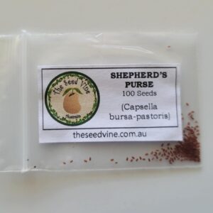 Capsella bursa-pastoris