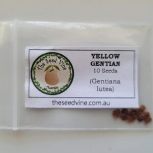 Gentiana lutea