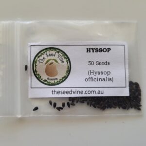 Hyssopus officinalis