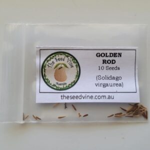 Solidago virgaurea