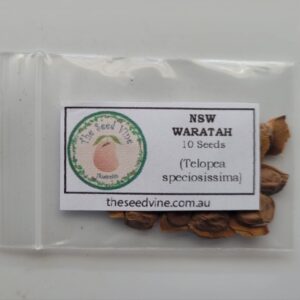 Telopea speciosissima - New South Wales Waratah