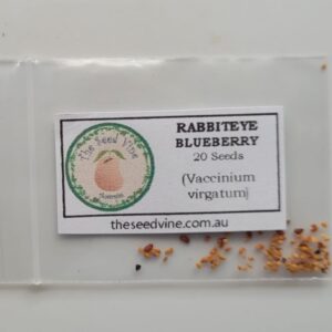 Vaccinium virgatum - Rabbiteye Blueberry