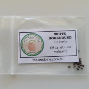 Marrubium vulgare 10 pack