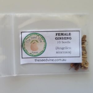 Angelica sinensis - Female Ginseng