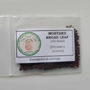 Brassica juncea - Mustard Broad Leaf