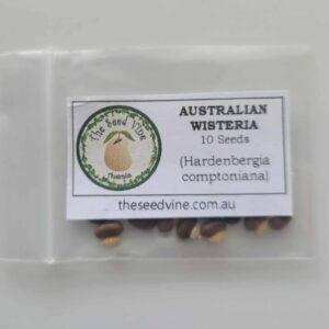 Hardenbergia comptoniana - Australian Wisteria