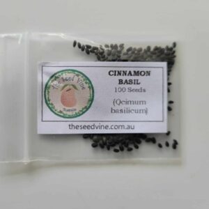 Ocimum basilicum - Cinnamon Basil