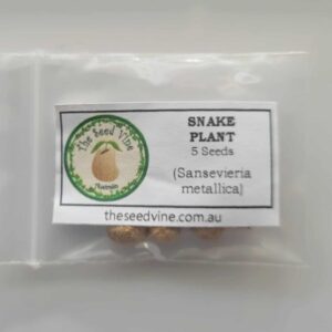 Sansevieria metallica - Silver Snake Plant