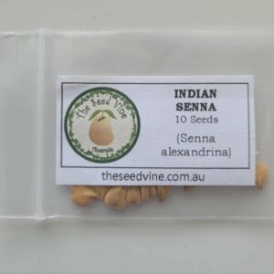 Senna alexandrina - Indian Senna